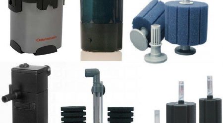 Mejores Filtros Para Acuario