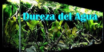 La Dureza del Agua