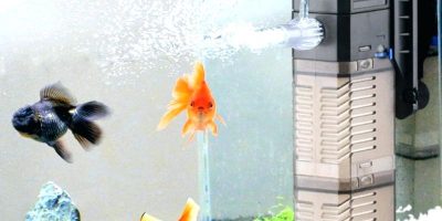 Mejores Filtros Internos Para Acuario
