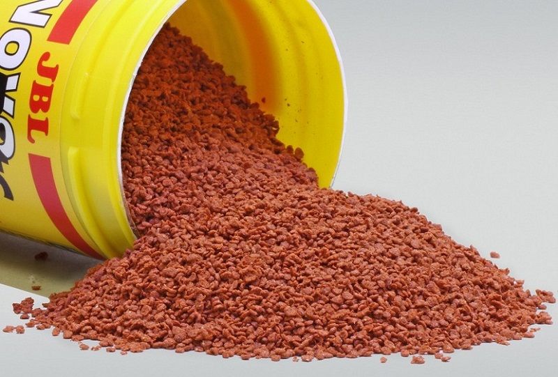 comida para peces de agua fría