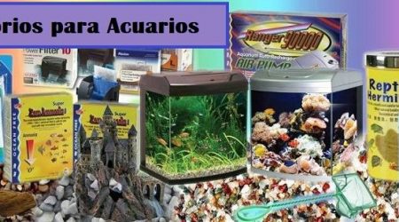 Accesorios Para Acuarios