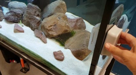 Limpieza y Mantenimiento del Acuario