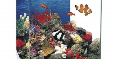 Los Mejores Acuarios Nano Aqualed