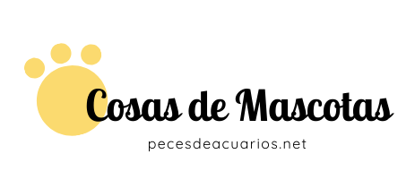 Peces de acuarios