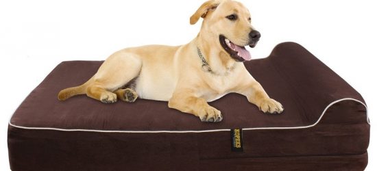 Mejores Camas Para Perros