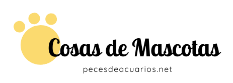 Peces de acuarios