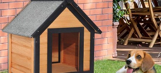 Mejores Casetas Para Perros