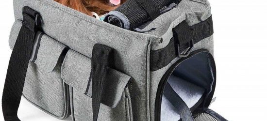 Mejores Transportines Para Perros