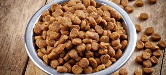 <center>Las Mejores Marcas de Pienso Para Perros</center>