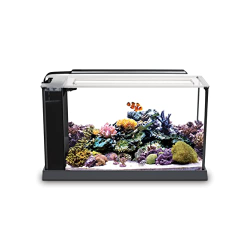 Fluval EVO Acuario Marino, Negro, 19 l