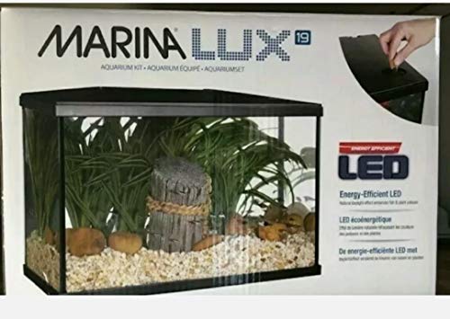Kit acuario 20 litros Marina LED 5G