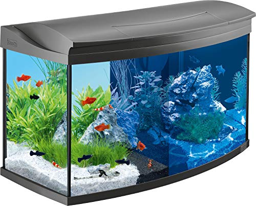 Kit Tetra AquaArt Evolution Line LED