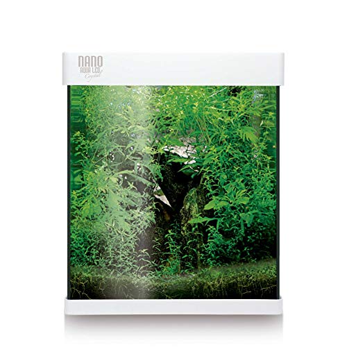 ICA KNA20 Nano AquaLED Crystal 20 - Kit Nano acuario, 20 l