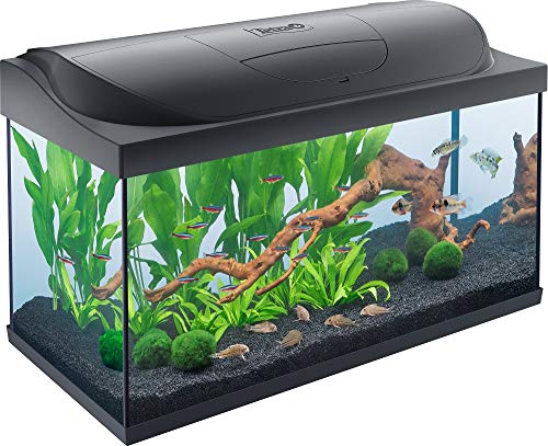 Kit Tetra Starter Line LED 105L