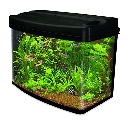Interpet Acuario con Sistema de Filtro de Cartucho