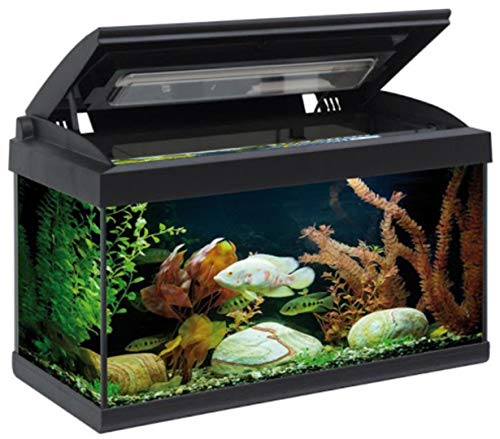 Acuario de 60 litros Starter