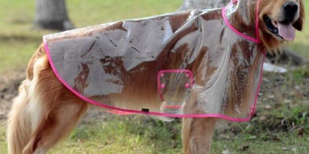 Mejor Chubasquero Para Perros