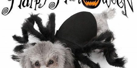 Mejores Disfraces Para Perros