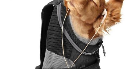 Mejores Mochilas Para Perros