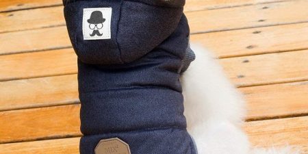 Mejores Sudaderas Para Perros